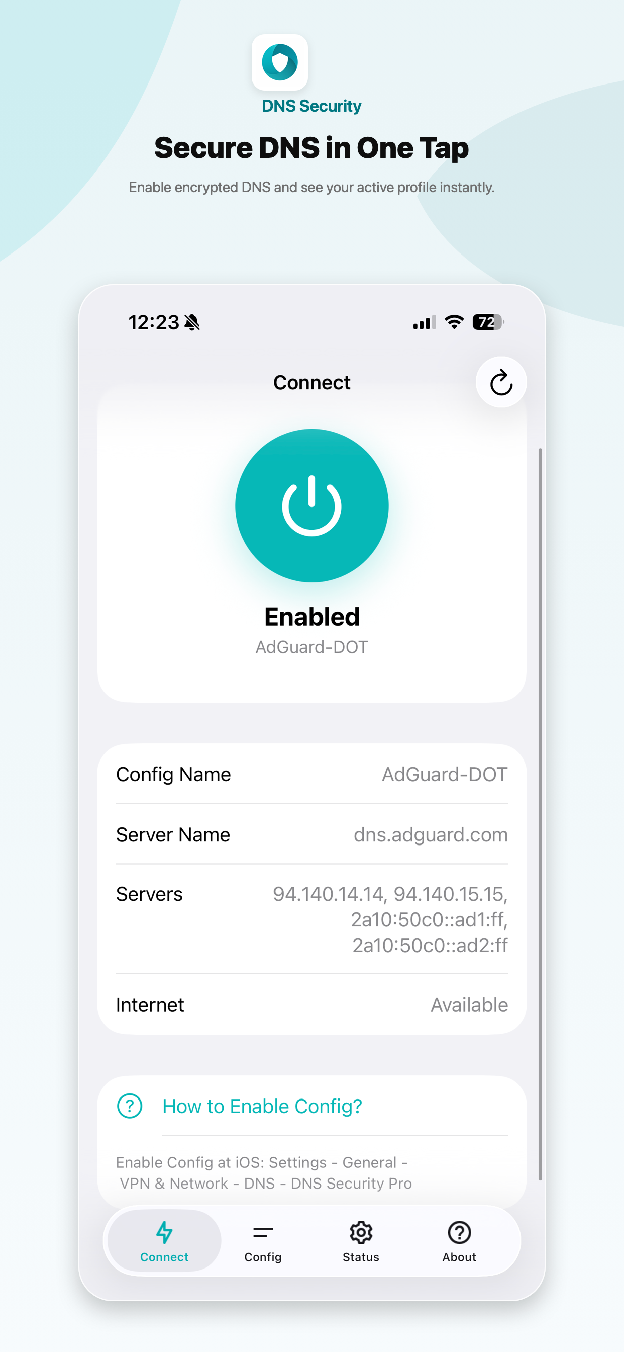 DNS Security Connect screen