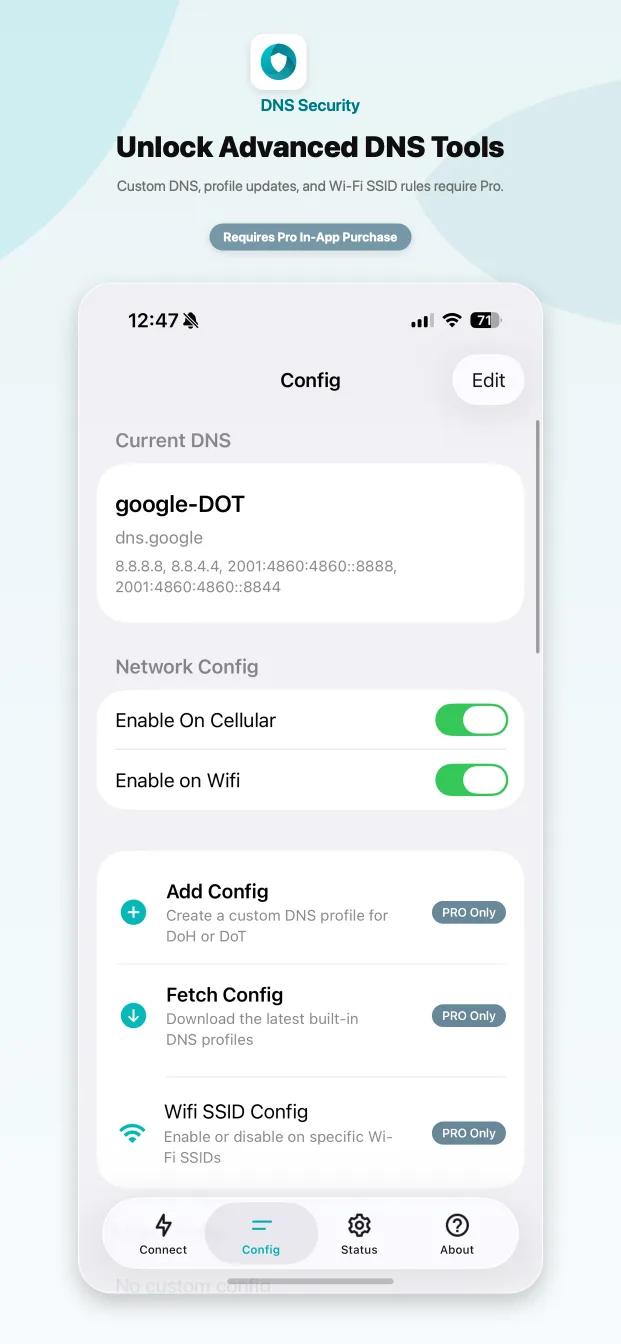 DNS Security Lite screen offering Pro features as an in-app purchase