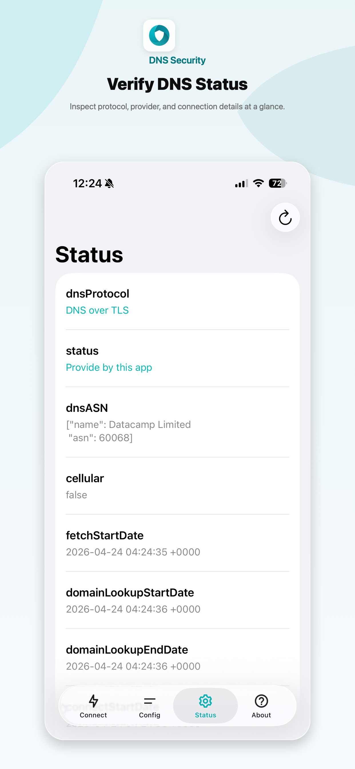 DNS Security status screen
