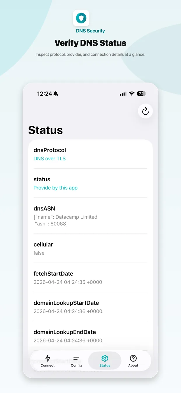DNS Security Status screen with the active DNS profile, protocol and network status